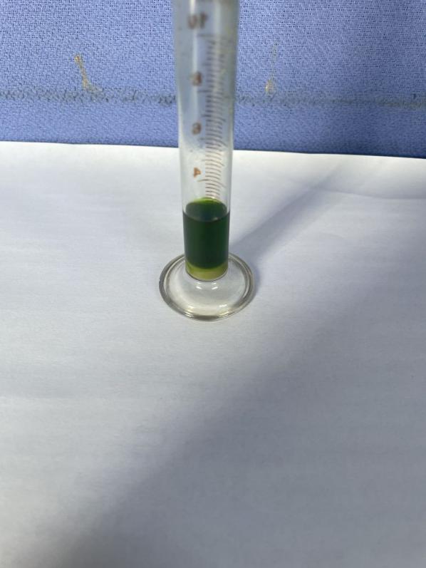 1b2 (2)